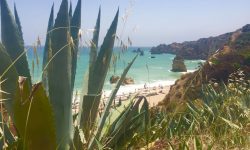 Happy New Year 2018!