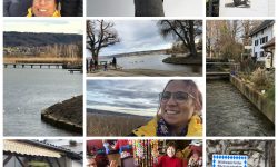 Weiterbilden & Weitergeben …