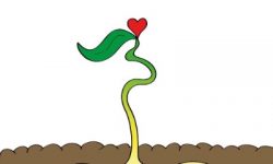 Line Dancing & Super Bowl