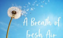 Fernweh – Heimweh & “Going Shopping”